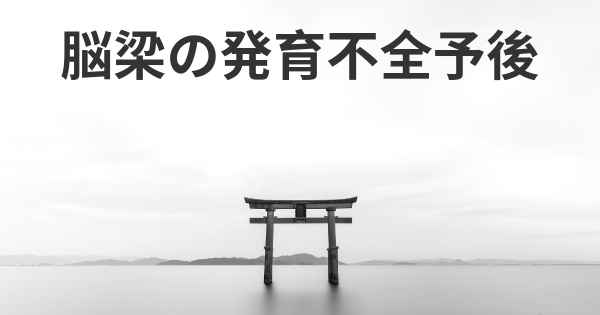 脳梁の発育不全予後