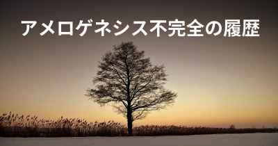 アメロゲネシス不完全の履歴