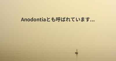 Anodontiaとも呼ばれています...