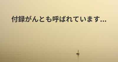 付録がんとも呼ばれています...