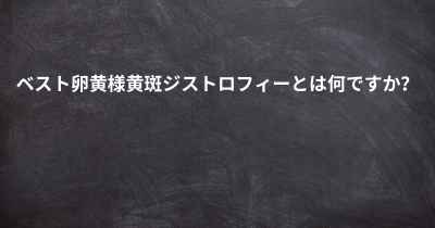 ベスト卵黄様黄斑ジストロフィーとは何ですか？