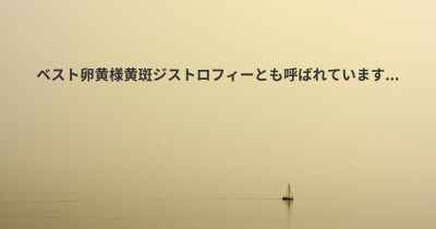 ベスト卵黄様黄斑ジストロフィーとも呼ばれています...