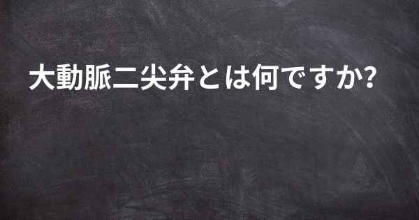 大動脈二尖弁とは何ですか？