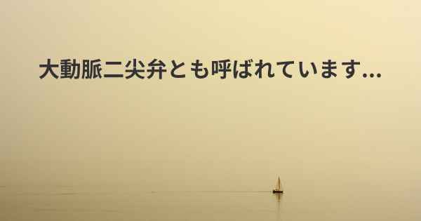 大動脈二尖弁とも呼ばれています...