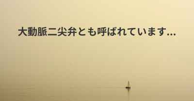 大動脈二尖弁とも呼ばれています...