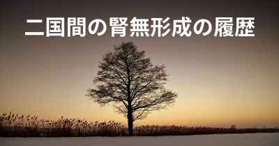 二国間の腎無形成の履歴