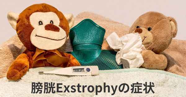 膀胱Exstrophyの症状