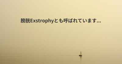 膀胱Exstrophyとも呼ばれています...