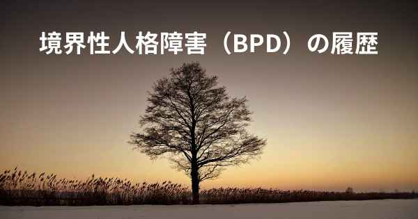 境界性人格障害（BPD）の履歴