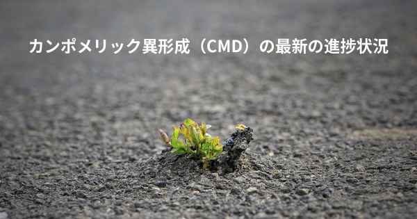 カンポメリック異形成（CMD）の最新の進捗状況