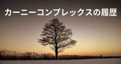 カーニーコンプレックスの履歴