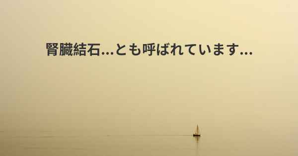 腎臓結石...とも呼ばれています...