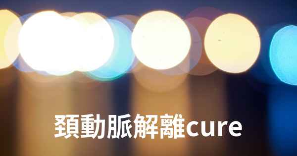 頚動脈解離cure