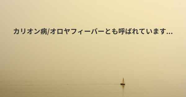 カリオン病/オロヤフィーバーとも呼ばれています...