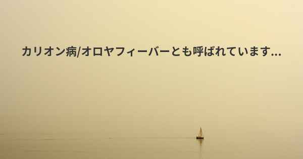 カリオン病/オロヤフィーバーとも呼ばれています...