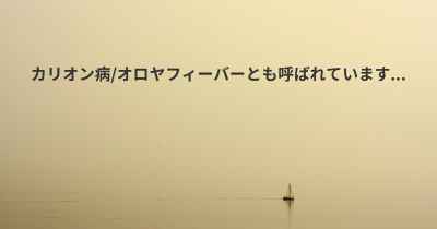 カリオン病/オロヤフィーバーとも呼ばれています...