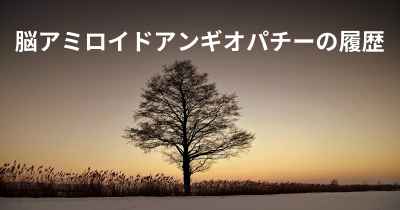 脳アミロイドアンギオパチーの履歴