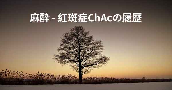 麻酔 - 紅斑症ChAcの履歴