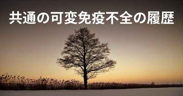 共通の可変免疫不全の履歴