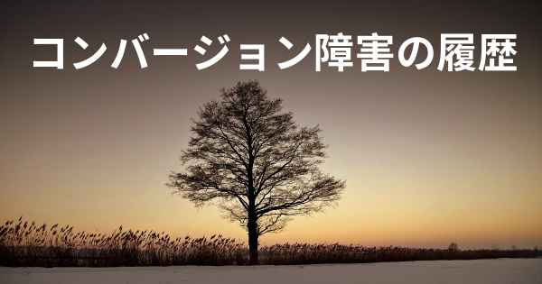 コンバージョン障害の履歴