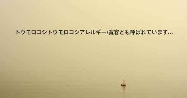 トウモロコシトウモロコシアレルギー/寛容とも呼ばれています...