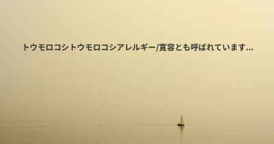 トウモロコシトウモロコシアレルギー/寛容とも呼ばれています...