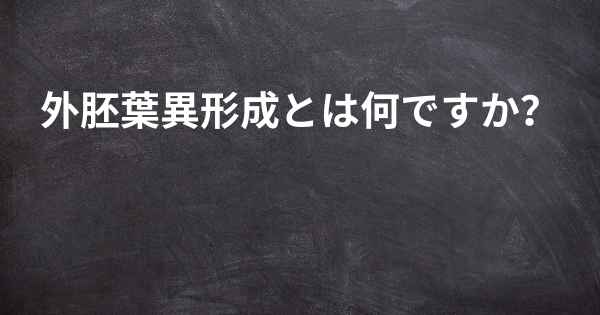 外胚葉異形成とは何ですか？