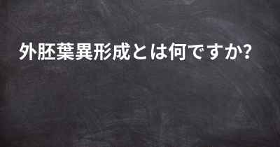 外胚葉異形成とは何ですか？