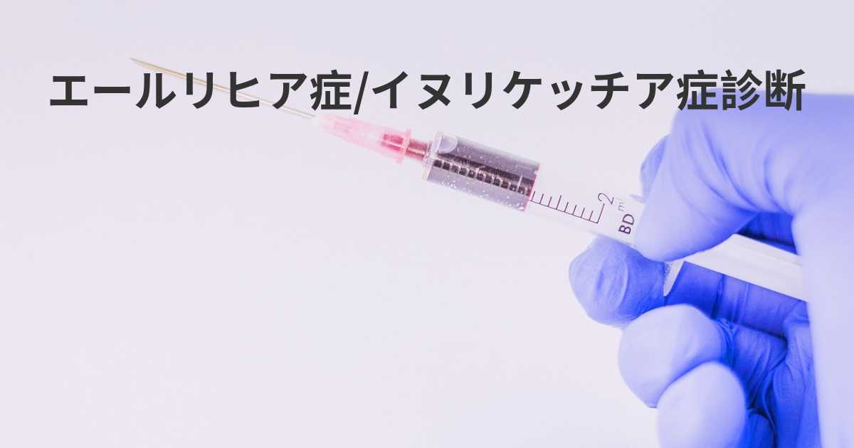 エールリヒア症の症状は何ですか?