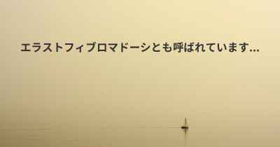 エラストフィブロマドーシとも呼ばれています...