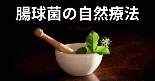 腸球菌の自然療法