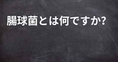 腸球菌とは何ですか？