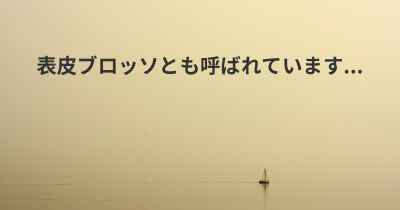 表皮ブロッソとも呼ばれています...