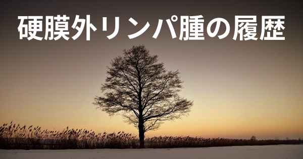 硬膜外リンパ腫の履歴