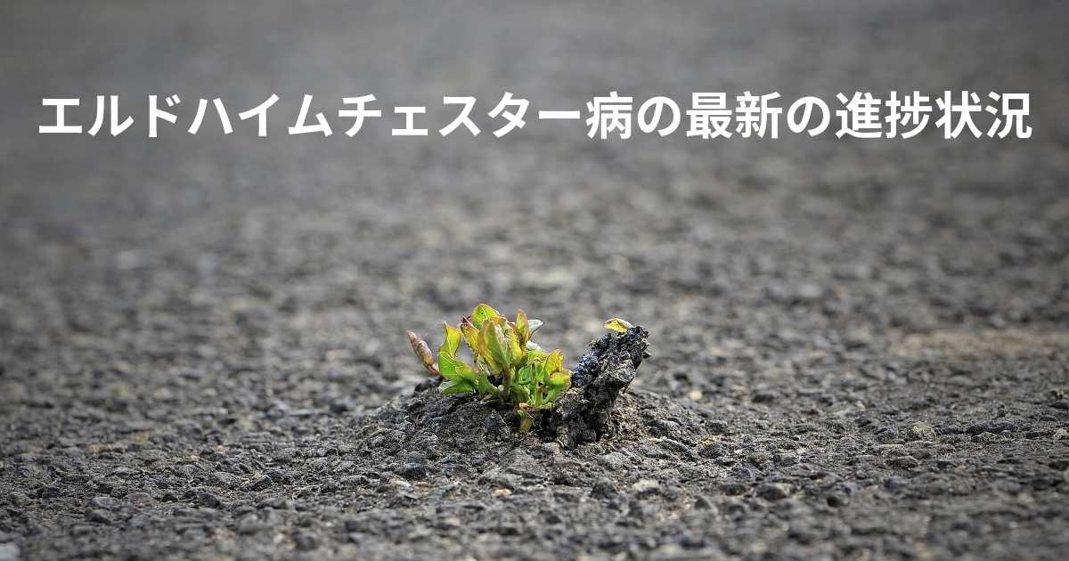 エルドハイムチェスター病の最新の進歩は何ですか？
