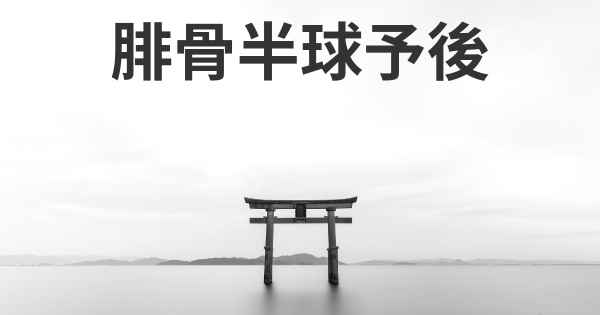 腓骨半球予後