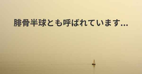 腓骨半球とも呼ばれています...