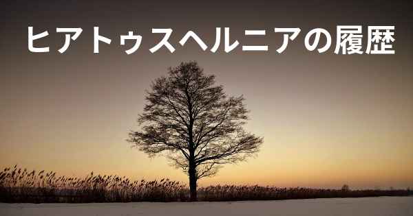 ヒアトゥスヘルニアの履歴