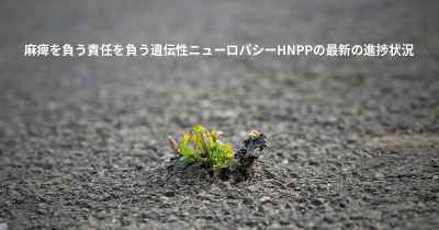麻痺を負う責任を負う遺伝性ニューロパシーHNPPの最新の進捗状況