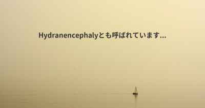 Hydranencephalyとも呼ばれています...