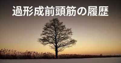 過形成前頭筋の履歴