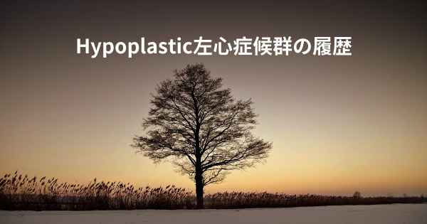 Hypoplastic左心症候群の履歴