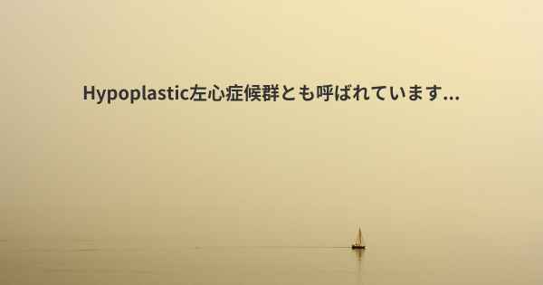Hypoplastic左心症候群とも呼ばれています...