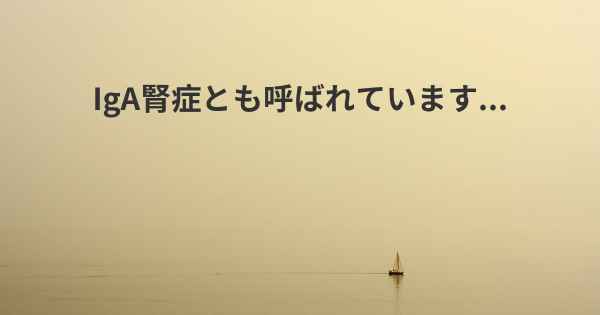 IgA腎症とも呼ばれています...