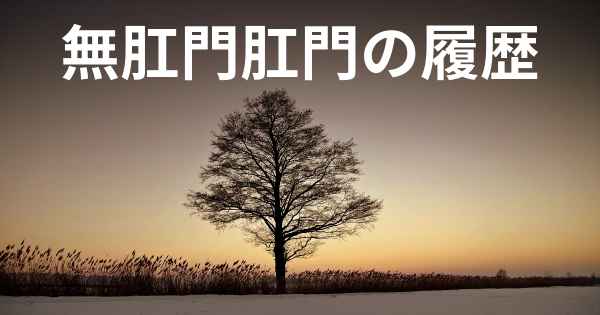 無肛門肛門の履歴