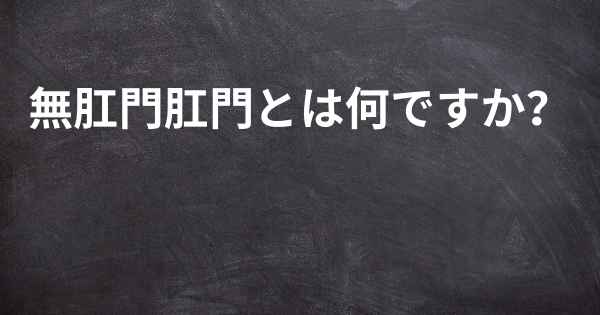 無肛門肛門とは何ですか？