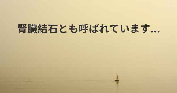 腎臓結石とも呼ばれています...