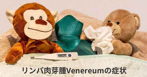 リンパ肉芽腫Venereumの症状