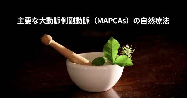 主要な大動脈側副動脈（MAPCAs）の自然療法