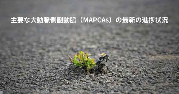 主要な大動脈側副動脈（MAPCAs）の最新の進捗状況